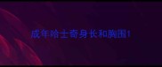 成年哈士奇身长和胸围