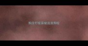 狗没打疫苗被流浪狗咬