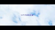 16个月美短多重