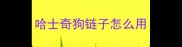哈士奇狗链子怎么用