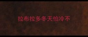 拉布拉多冬天怕冷不