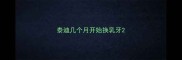 泰迪几个月开始换乳牙