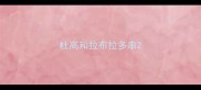 杜高和拉布拉多串