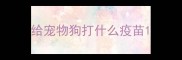 给宠物狗打什么疫苗