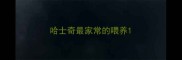 哈士奇最家常的喂养