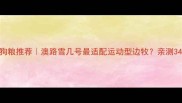 边牧专用狗粮推荐澳路雪几号最适配运动型边牧亲测346号全