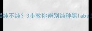拉布拉多黑不黑纯不纯3步教你辨别纯种黑labs附选狗避坑指南
