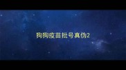 狗狗疫苗批号真伪