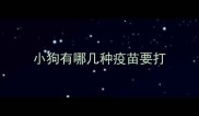 小狗有哪几种疫苗要打
