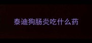 泰迪狗肠炎吃什么药