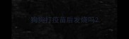 狗狗打疫苗后发烧吗