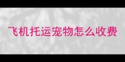 飞机托运宠物怎么收费