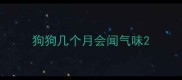 狗狗几个月会闻气味