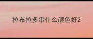 拉布拉多串什么颜色好