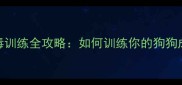 拉布拉多缉毒训练全攻略如何训练你的狗狗成为缉毒高手