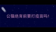 公猫绝育前要打疫苗吗