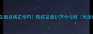小猫打疫苗后发烧正常吗附疫苗后护理全攻略附退烧药清单