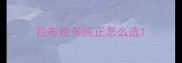 拉布拉多纯正怎么选