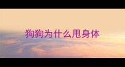 狗狗为什么甩身体
