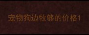 宠物狗边牧够的价格