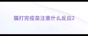 猫打完疫苗注意什么反应