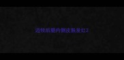 边牧后腿内侧皮肤发红