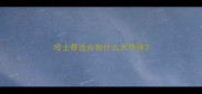 哈士奇适合和什么犬作伴