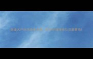 泰迪犬产后洗澡全攻略科学护理指南与注意事项