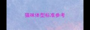 猫咪体型标准参考