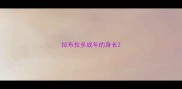 拉布拉多成年的身长