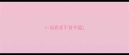 小狗粪便不够干燥