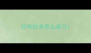拉布拉多怎么练习