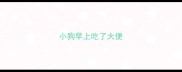 小狗早上吃了大便