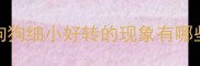 狗狗细小好转的现象有哪些