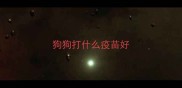 狗狗打什么疫苗好