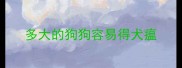 多大的狗狗容易得犬瘟