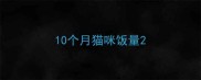 10个月猫咪饭量