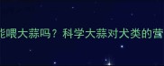 拉布拉多能喂大蒜吗科学大蒜对犬类的营养与风险