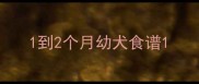 1到2个月幼犬食谱
