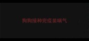 狗狗接种完疫苗喘气