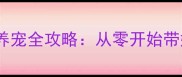 新手家长必看哈士奇养宠全攻略从零开始带娃养雪橇犬的120天日记