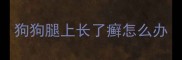 狗狗腿上长了癣怎么办