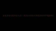 金毛犬毛发变卷怎么办资深训犬师5大原因及科学护理指南