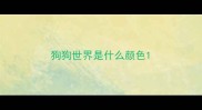 狗狗世界是什么颜色