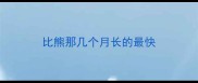 比熊那几个月长的最快