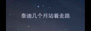 泰迪几个月站着走路