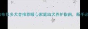 福州拉布拉多犬舍推荐暖心家庭幼犬养护指南新手必看