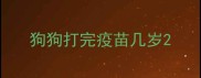 狗狗打完疫苗几岁