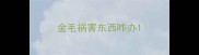 金毛祸害东西咋办