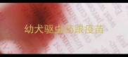 幼犬驱虫药跟疫苗